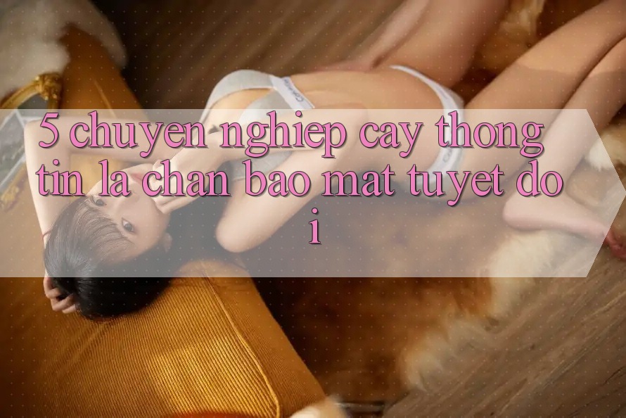 5. Chuyên nghiệp cậy Thông Tin: Lá Chắn Bảo Mật Tuyệt Đối 5. Chuyên nghiệp cậy Thông Tin: Lá Chắn Bảo Mật Tuyệt Đối