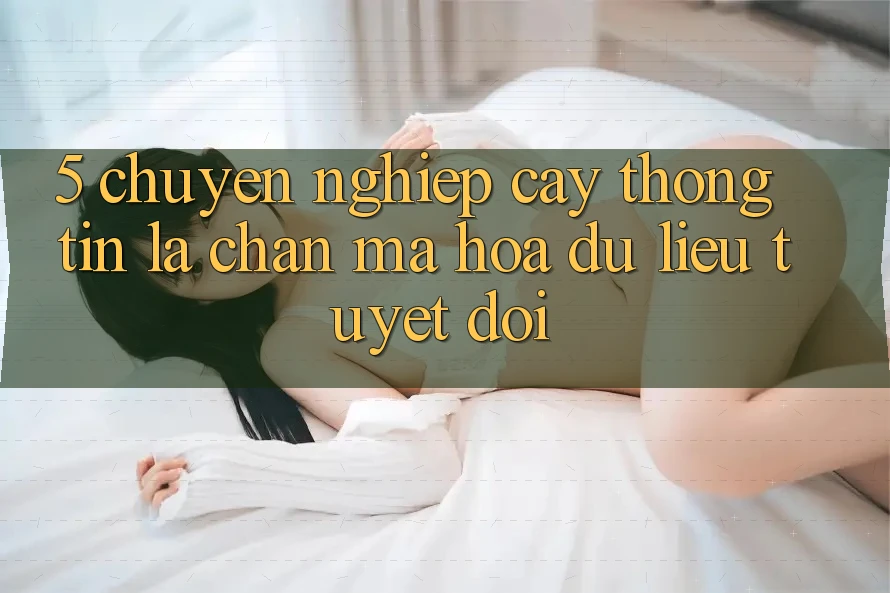 5. Chuyên nghiệp cậy Thông Tin: Lá Chắn Mã hóa dữ liệu Tuyệt Đối 5. Chuyên nghiệp cậy Thông Tin: Lá Chắn Mã hóa dữ liệu Tuyệt Đối