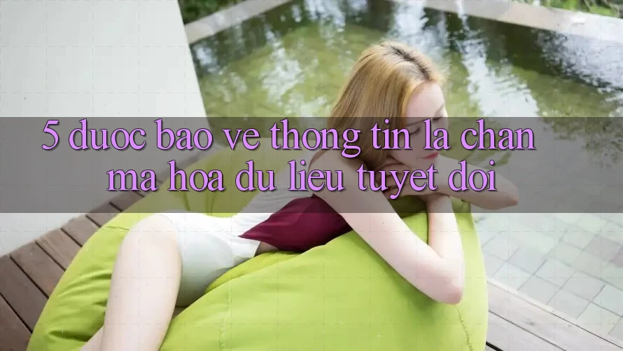 5. Được bảo vệ Thông Tin: Lá Chắn Mã hóa dữ liệu Tuyệt Đối