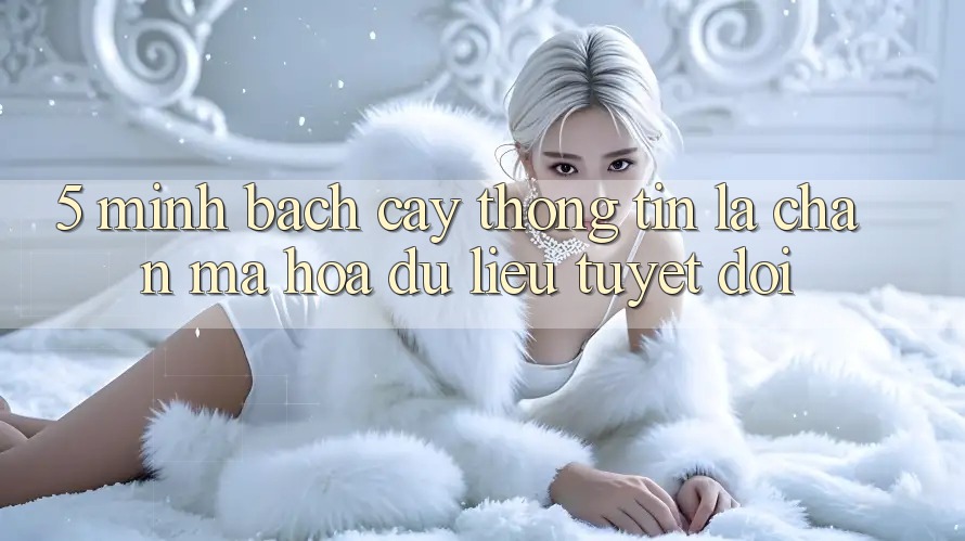 5. Minh bạch cậy Thông Tin: Lá Chắn Mã hóa dữ liệu Tuyệt Đối