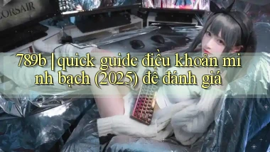 789b quick guide điều khoản minh bạch (2025) để đánh giá