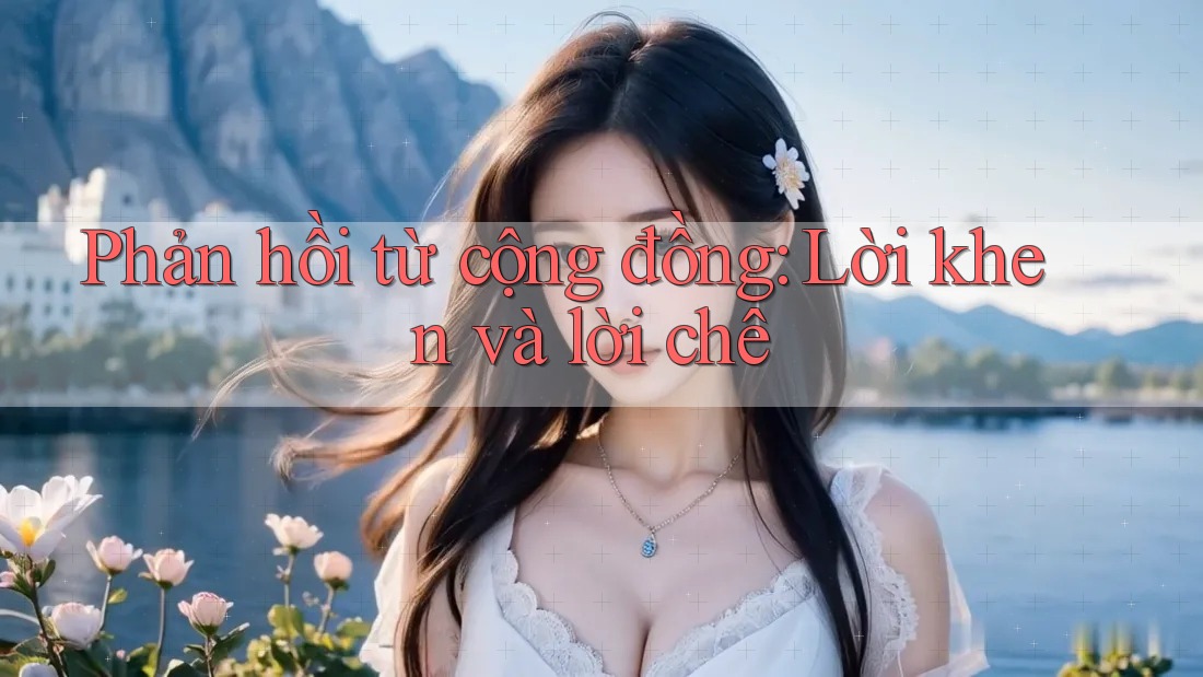 Phản hồi từ cộng đồng: Lời khen và lời chê Phản hồi từ cộng đồng: Lời khen và lời chê