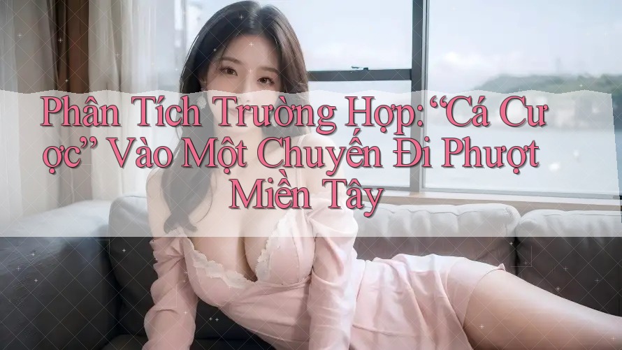 Phân Tích Trường Hợp: “Cá Cược” Vào Một Chuyến Đi Phượt Miền Tây