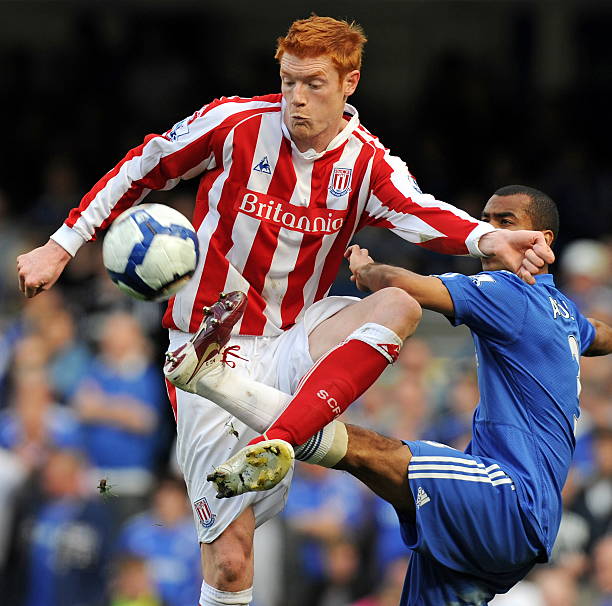 术和稳定的 术和稳定的